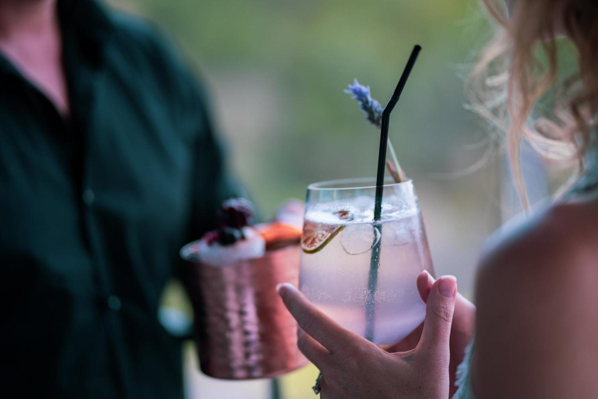 Monchique Resort & Spa Екстер'єр фото A lavender cocktail